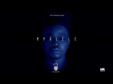 Sibu Nzuza ft. Malome Vector - Mpulele Lyrics