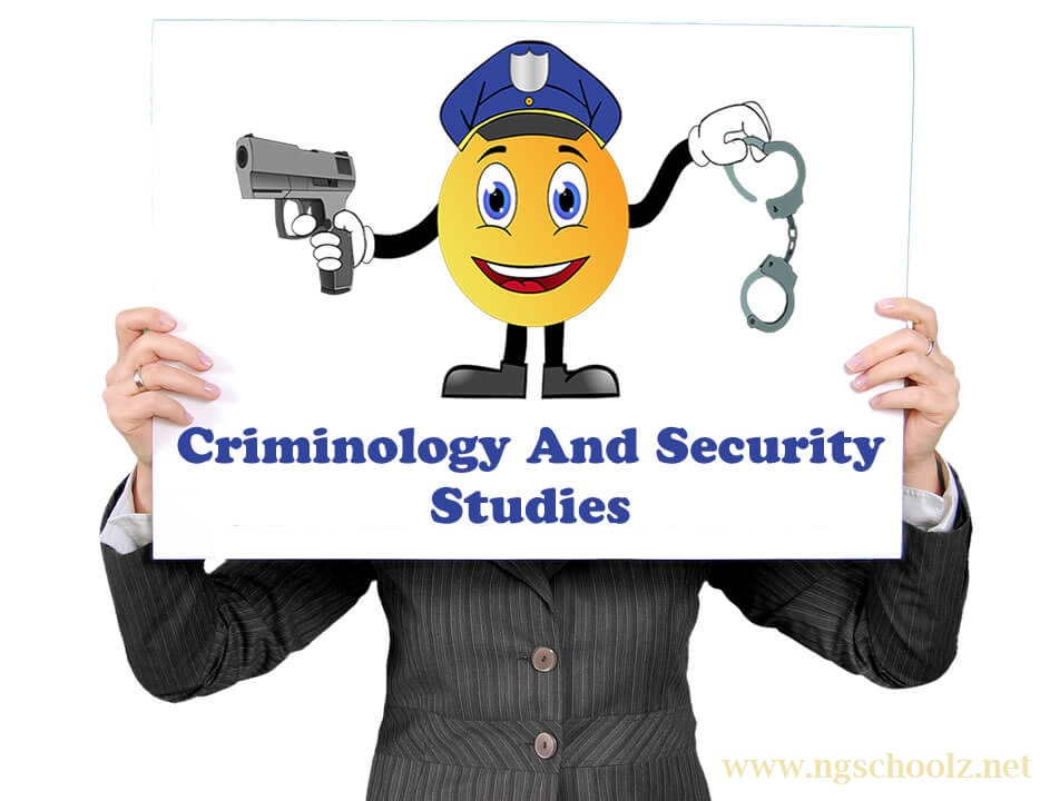 Criminology & Security Studies Jobs In Nigeria